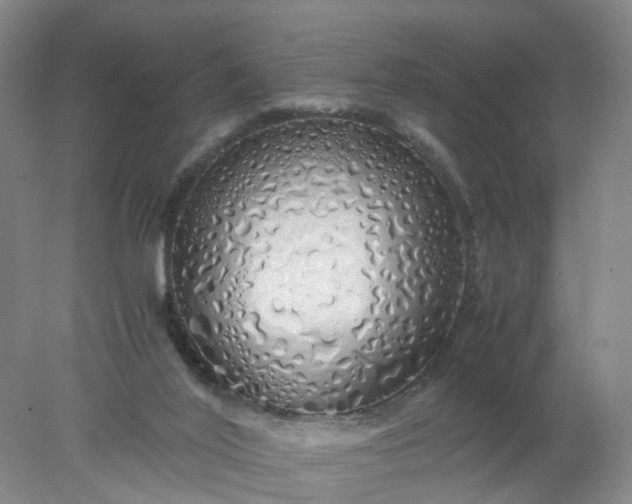 X0000077990020200611101740