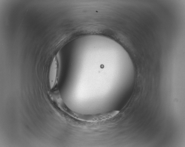 X0000077990021200611101740