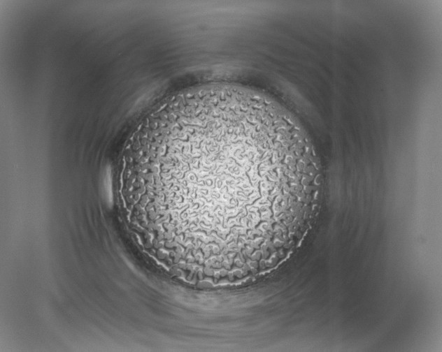 X0000077990022200611101740