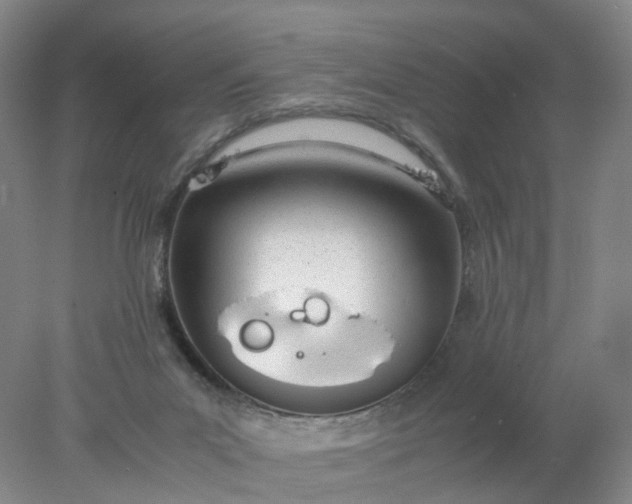 X0000077990023200611101740