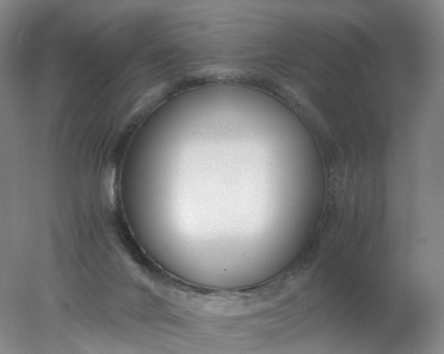 X0000077990024200611101740