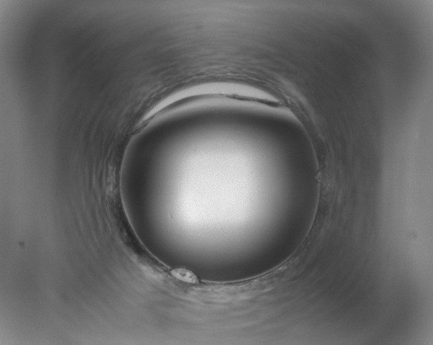 X0000077990025200611101740