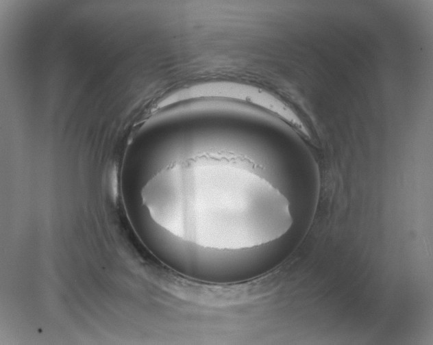 X0000077990027200611101740