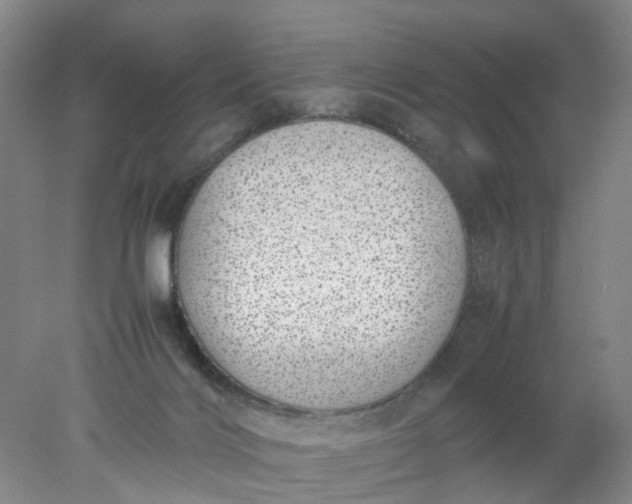 X0000077990028200611101740