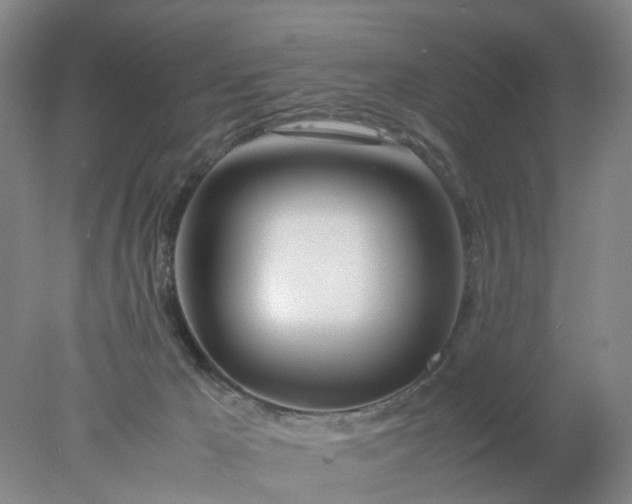 X0000077990029200611101740