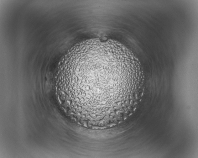 X0000077990030200611101740