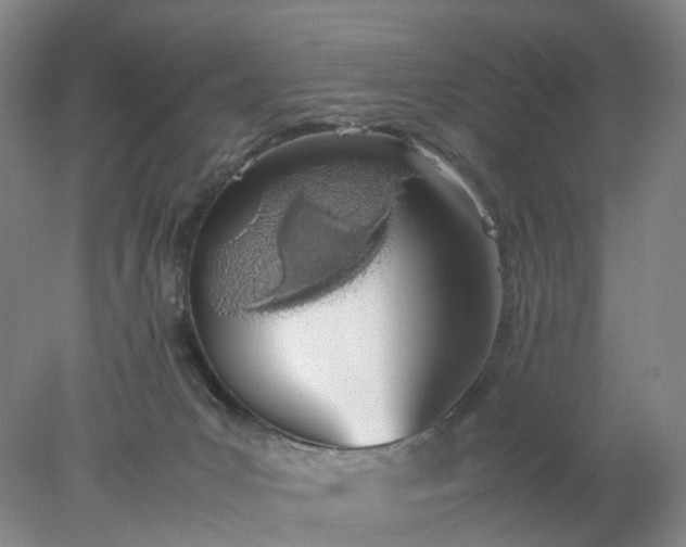 X0000077990031200611101740