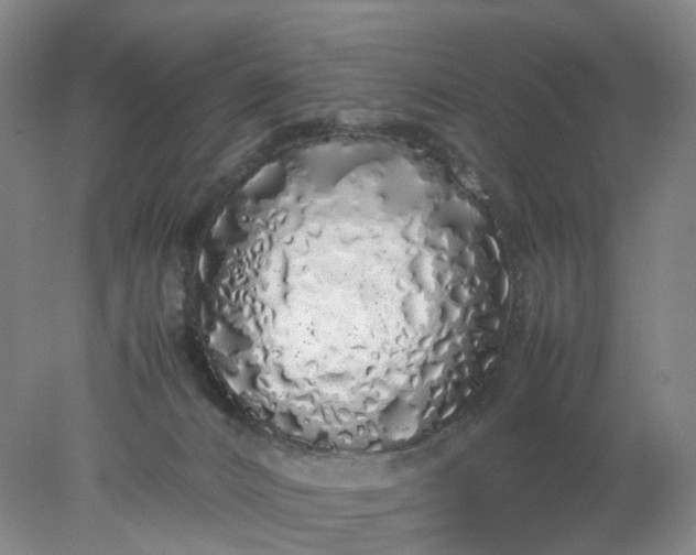 X0000077990032200611101740