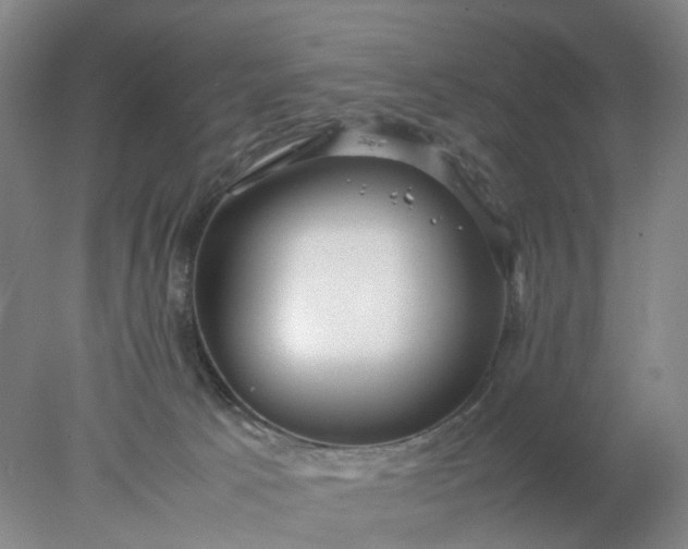 X0000077990033200611101740