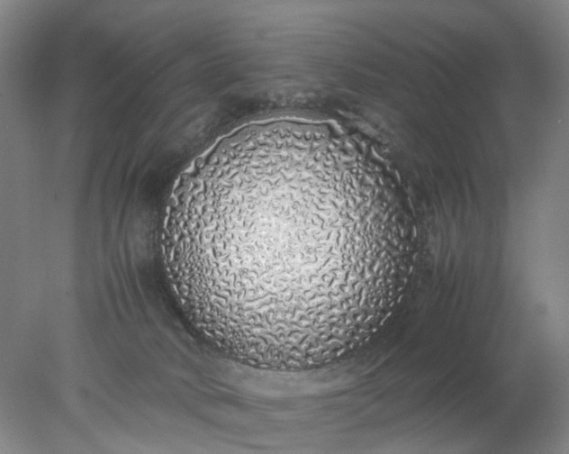 X0000077990034200611101740