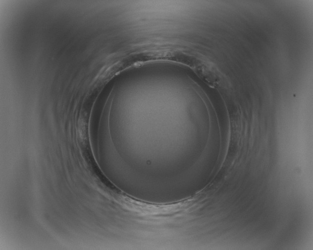 X0000077990035200611101740