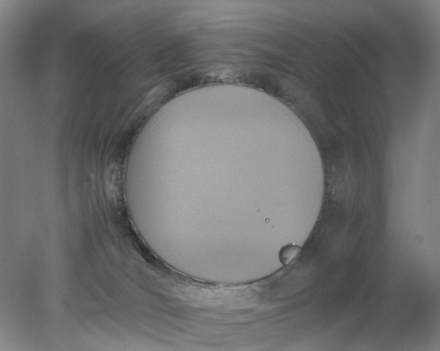 X0000077990036200611101740