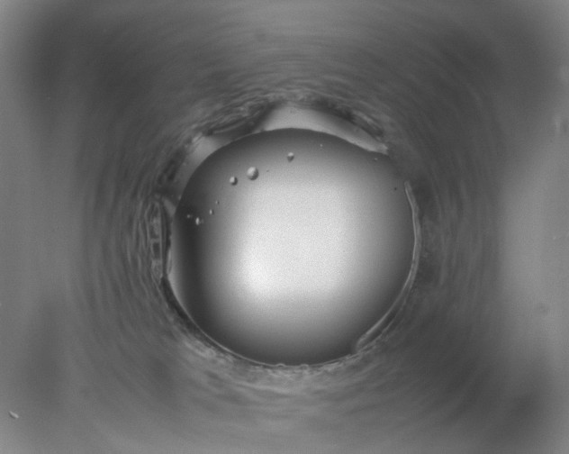 X0000077990037200611101740