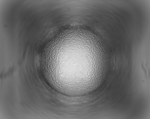 X0000077990038200611101740