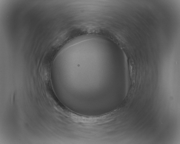 X0000077990039200611101740