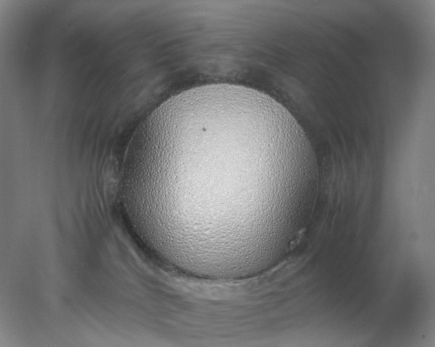 X0000077990040200611101740