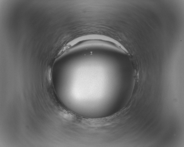 X0000077990041200611101740