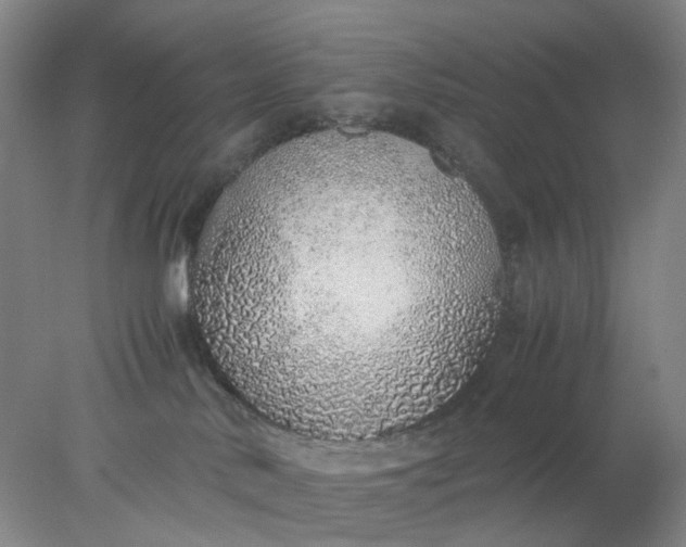 X0000077990042200611101739