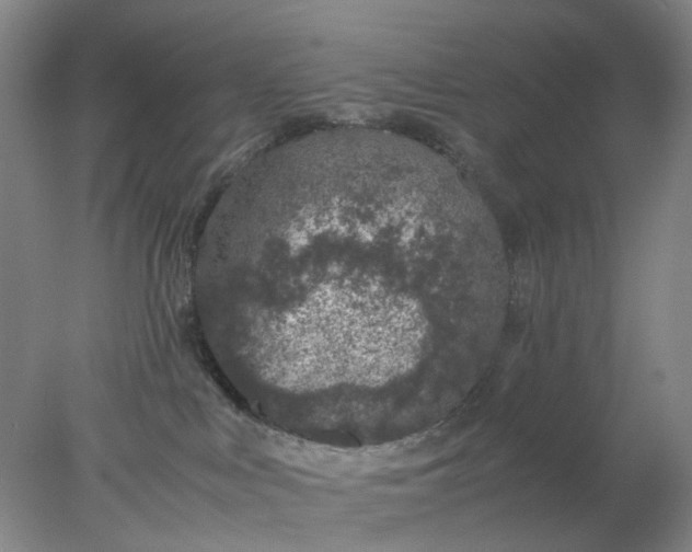 X0000077990043200611101739