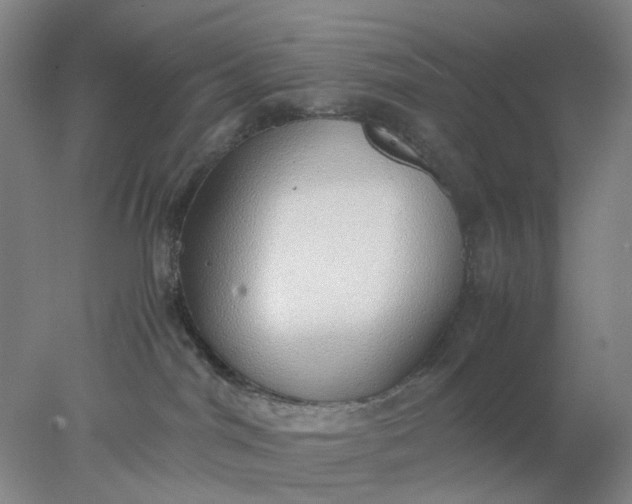 X0000077990044200611101739