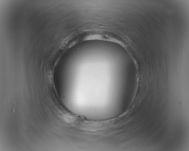 X0000077990045200611101739