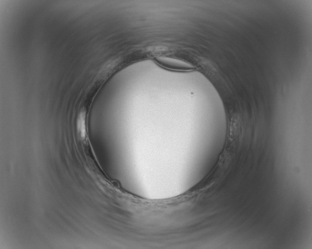 X0000077990046200611101739