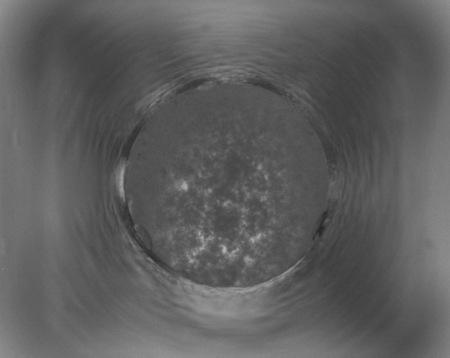 X0000077990047200611101739