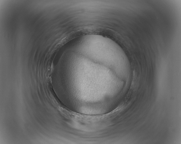 X0000077990048200611101739