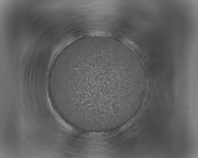 X0000077990049200611101739