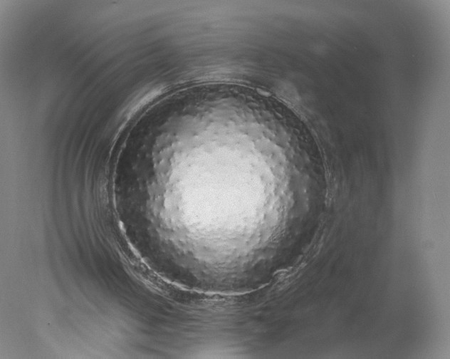 X0000077990050200611101739