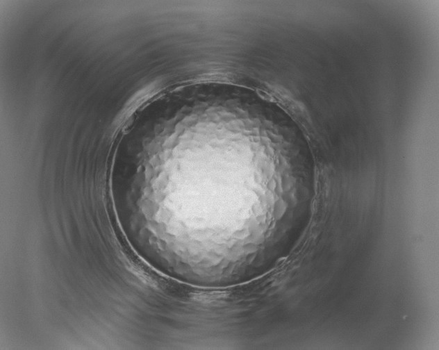 X0000077990051200611101739