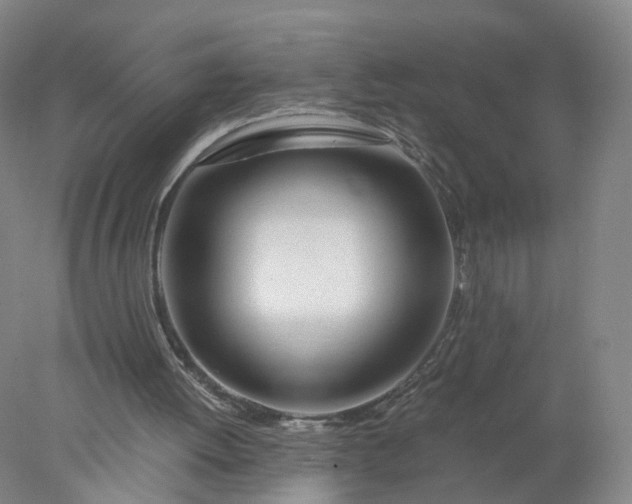 X0000077990052200611101739