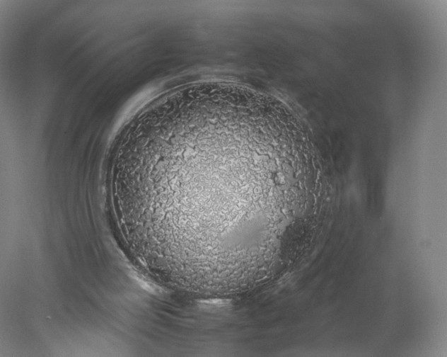 X0000077990053200611101739