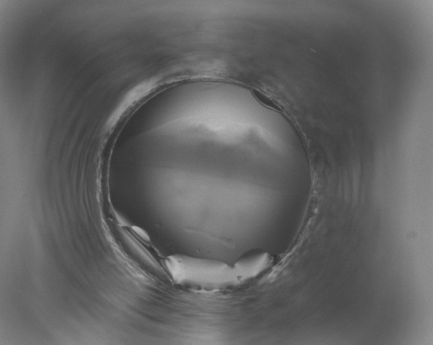 X0000077990054200611101739