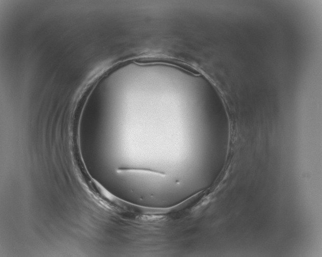 X0000077990055200611101739