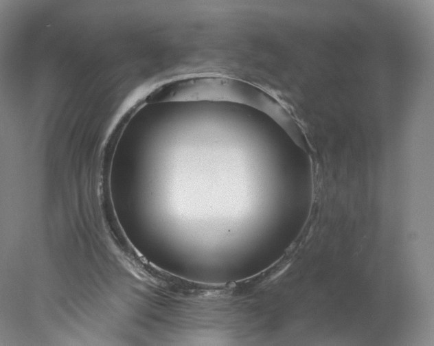 X0000077990056200611101739