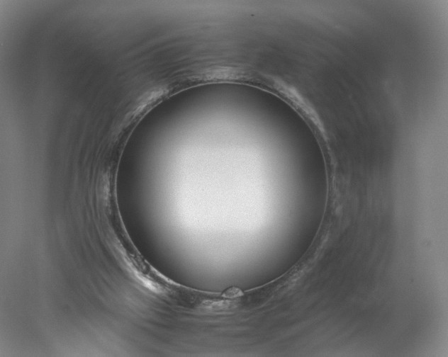 X0000077990057200611101739