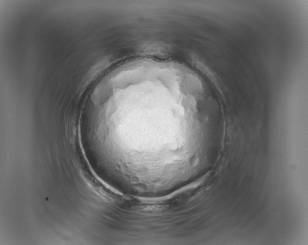 X0000077990059200611101739