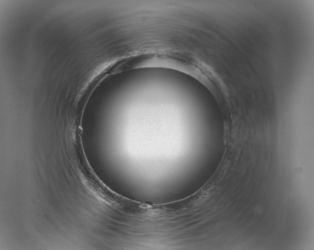 X0000077990060200611101739