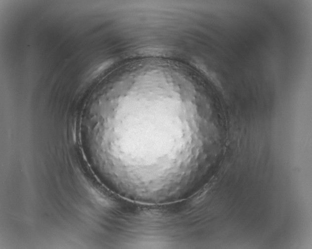 X0000077990062200611101739