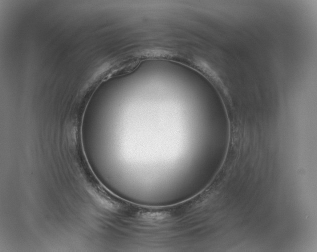 X0000077990063200611101739