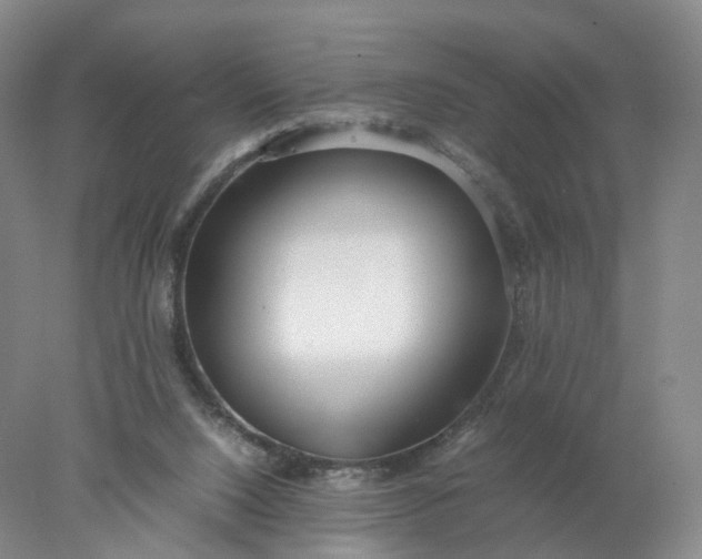 X0000077990064200611101739