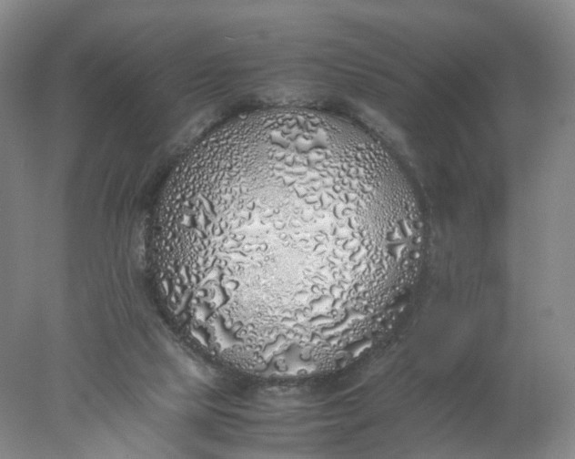 X0000077990065200611101739