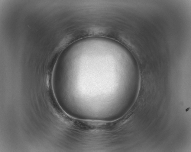 X0000077990067200611101739