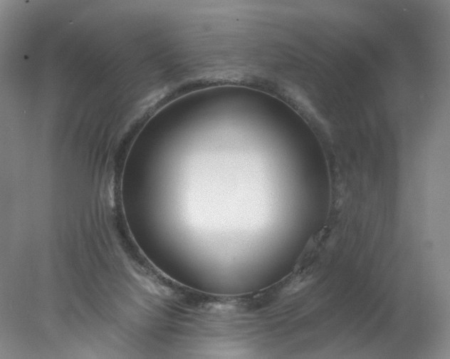 X0000077990068200611101739