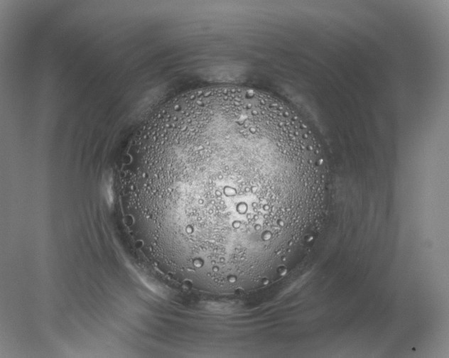 X0000077990069200611101739