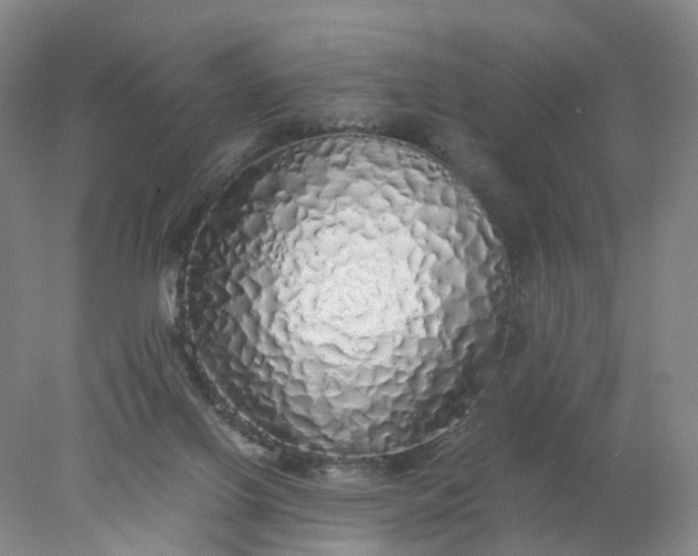 X0000077990070200611101739