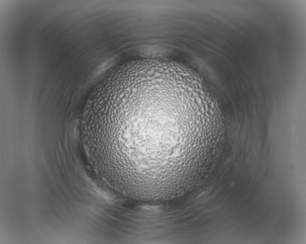 X0000077990071200611101739