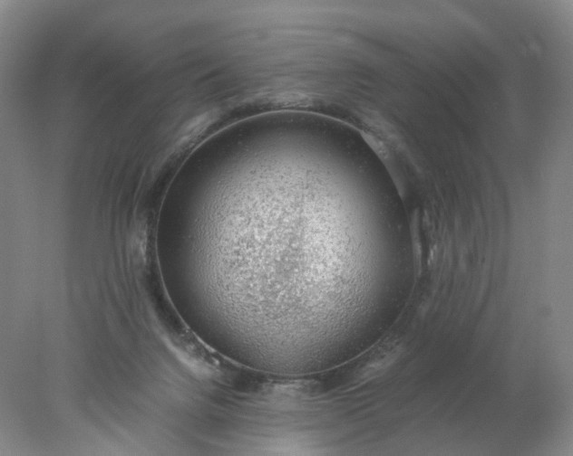 X0000077990072200611101739