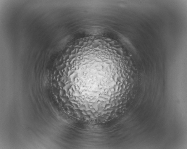 X0000077990073200611101739